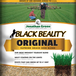 Black Beauty 5# - Jonathan Green