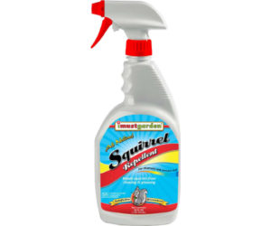 I Must Garden Squirrel Repellent 32oz RTU – Needham Garden Center