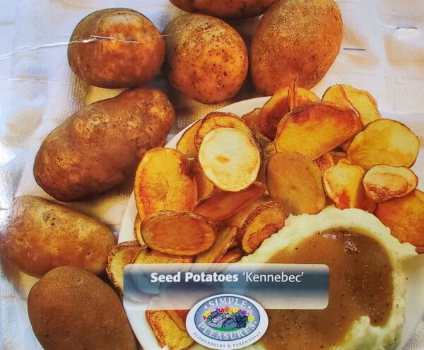 Seed Potatoes - Kennebec