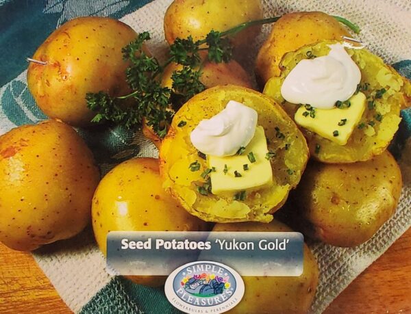 Seed Potato - Yukon Gold