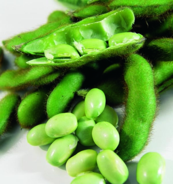 Organic Edamame Green Soy - Seed Packet