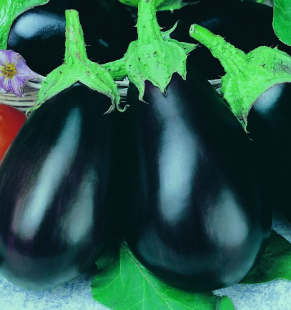 Eggplant Black Beauty - Seed Packet