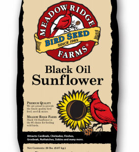 Black Oil Sunflower Bird Seed, 20 Lb.